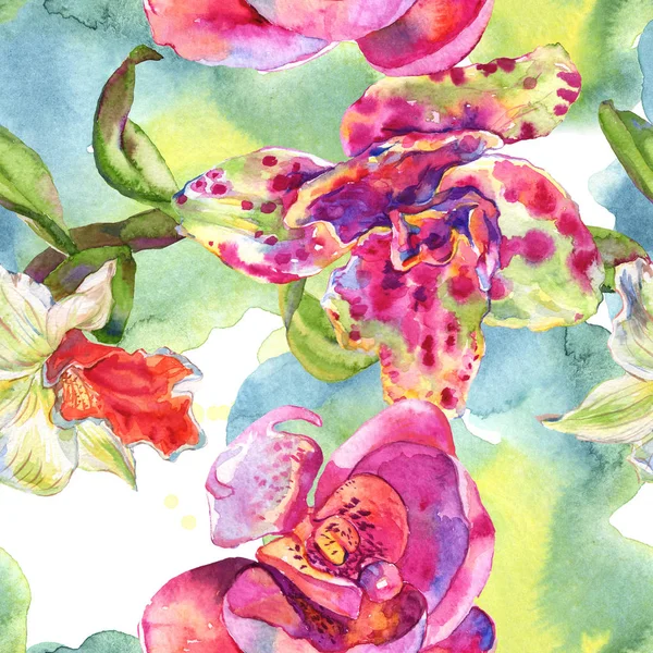 Flor botánica floral de orquídea. Conjunto de ilustración de fondo acuarela. Patrón de fondo sin costuras . — Foto de Stock