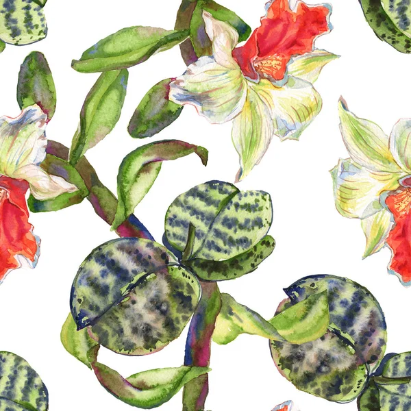 Orchid floral botanical flower. Watercolor background illustration set. Seamless background pattern. — Stock Photo, Image