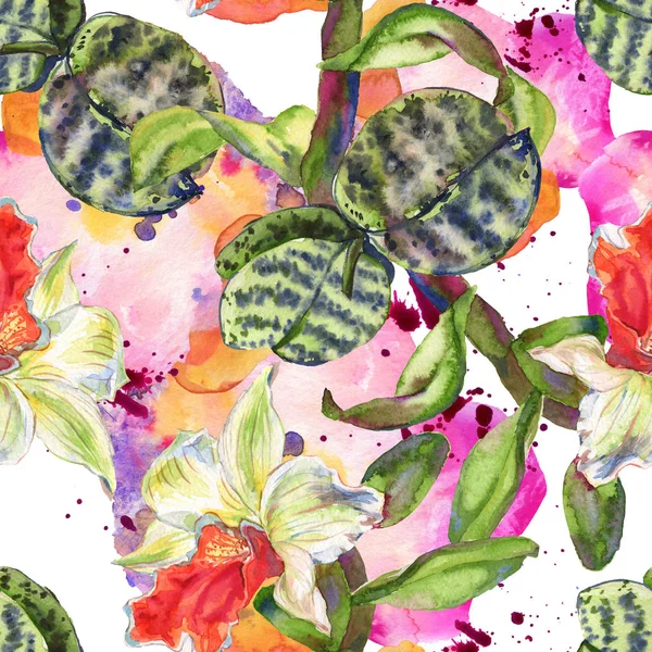 Flor botánica floral de orquídea. Flor silvestre de hoja de primavera aislada. Conjunto de ilustración de fondo acuarela. Acuarela dibujo moda aquarelle aislado . — Foto de Stock