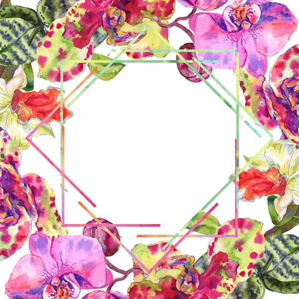 Ορχιδέα λουλουδάτο βοτανικό λουλούδι. Σύνολο εικονογράφησης φόντου. Κορνίζα περίγραμμα στολίδι τετράγωνο. — Φωτογραφία Αρχείου
