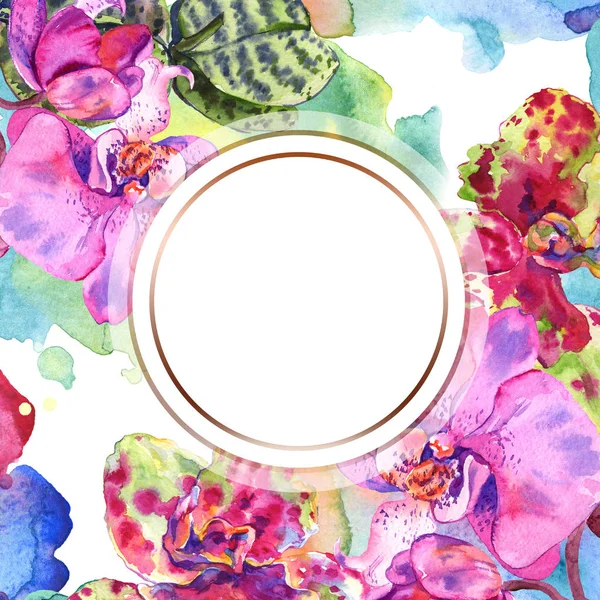 Orchid floral botanical flower. Watercolor background illustration set. Frame border ornament square. — Stock Photo, Image