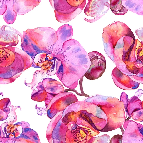 Orchidea kwiatowy kwiat botaniczny. Akwarela zestaw ilustracji tła. Płynny wzór tła. — Zdjęcie stockowe