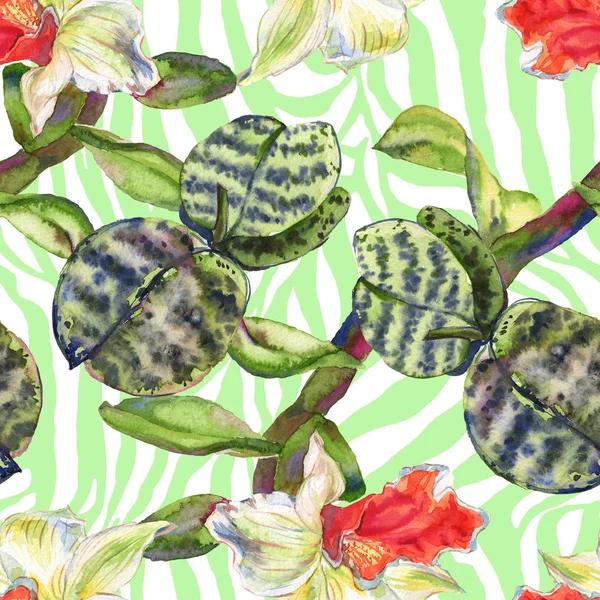 Orchidee bloemen botanische bloem. Aquarel achtergrond illustratie instellen. Naadloos achtergrond patroon. — Stockfoto