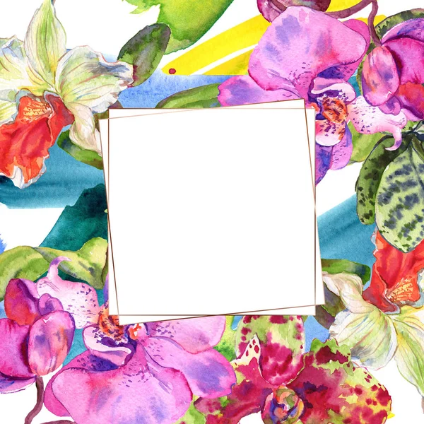 Flor botánica floral de orquídea. Conjunto de ilustración de fondo acuarela. Marco borde ornamento cuadrado . — Foto de Stock