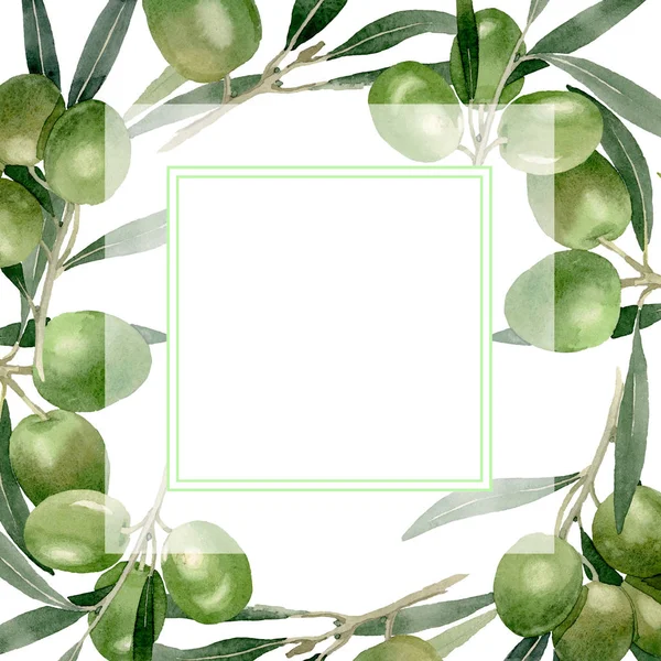 Cabang zaitun dengan buah hitam dan hijau. Set ilustrasi latar belakang cat air. Kotak ornamen batas bingkai . — Stok Foto