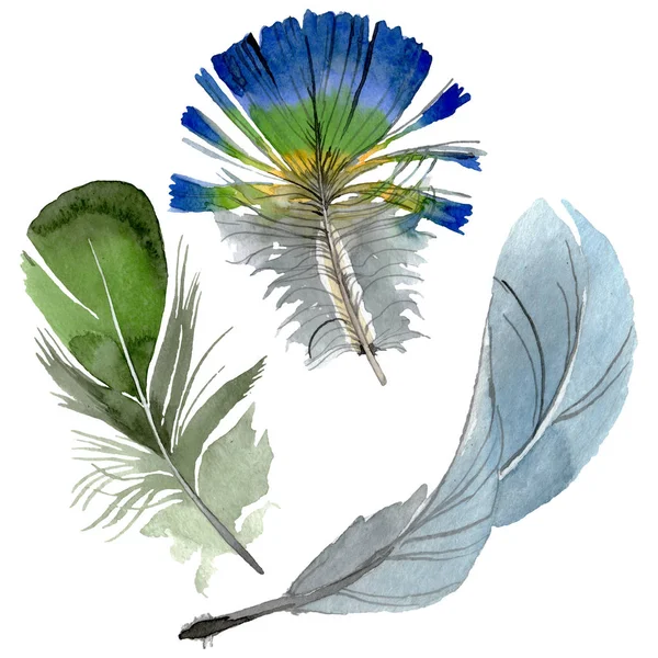 Pluma de pájaro de ala aislada. Conjunto de ilustración de fondo acuarela. Elemento ilustrativo plumas aisladas . — Foto de Stock