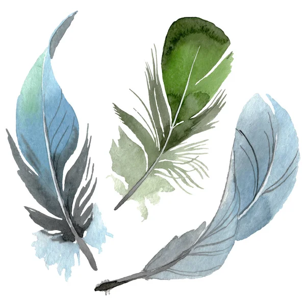 Bird feather from wing isolated. Watercolor background illustration set. Isolated feathers illustration element. — Stock Photo, Image
