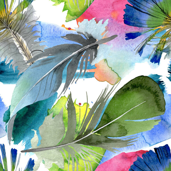 Bird feather from wing isolated. Watercolor background illustration set. Seamless background pattern.