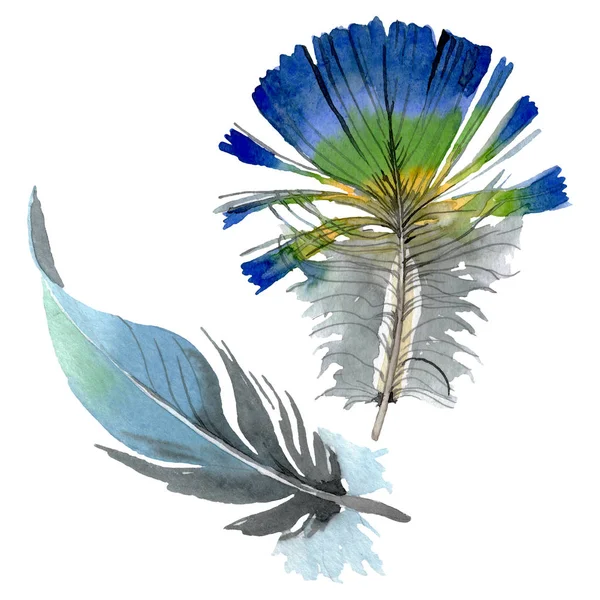 Bird feather from wing isolated. Watercolor background illustration set. Isolated feathers illustration element. — Stock Photo, Image