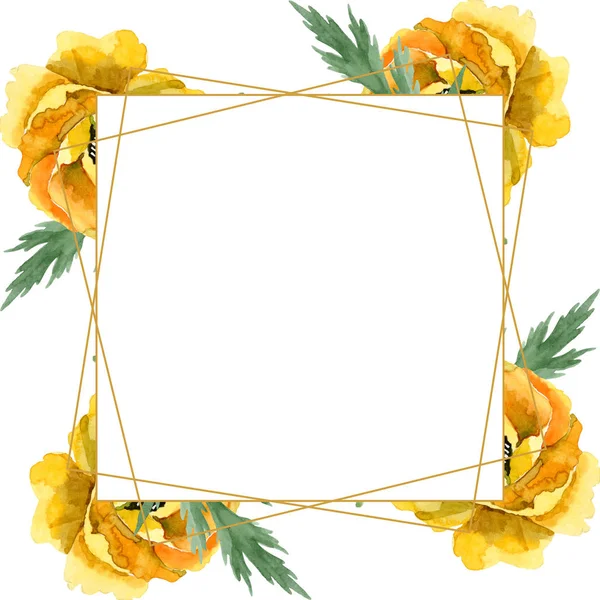 黄色罂粟花植物花。水彩背景插图集。框架边框装饰广场. — 图库照片
