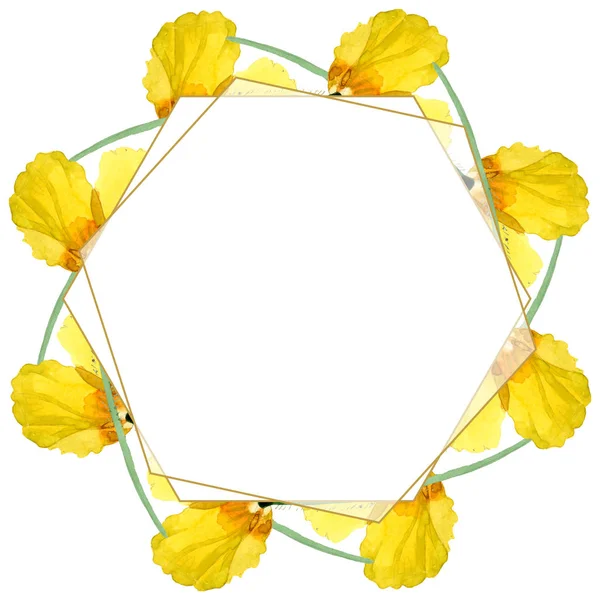 Żółty MAK kwiatowy kwiatów botanicznych. Akwarela zestaw ilustracji tła. Obramowanie ramy ornament kwadrat. — Zdjęcie stockowe