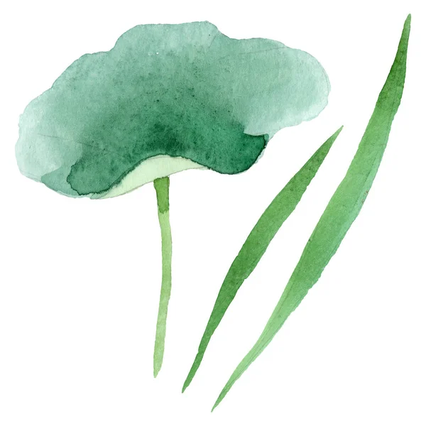 Flores botánicas de loto azul. Conjunto de ilustración de fondo acuarela. Elemento de ilustración nelumbo aislado . — Foto de Stock