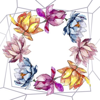 Lotus çiçek botanik floweras. Suluboya arka plan illüstrasyon seti. Çerçeve kenarlık süs karesi.