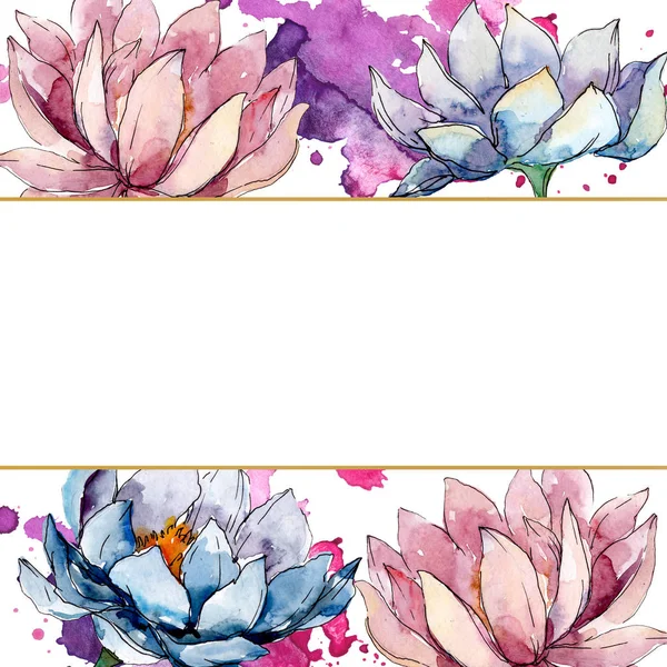 Lotus fleurs botaniques florales. Ensemble d'illustration de fond aquarelle. Cadre bordure ornement carré . — Photo