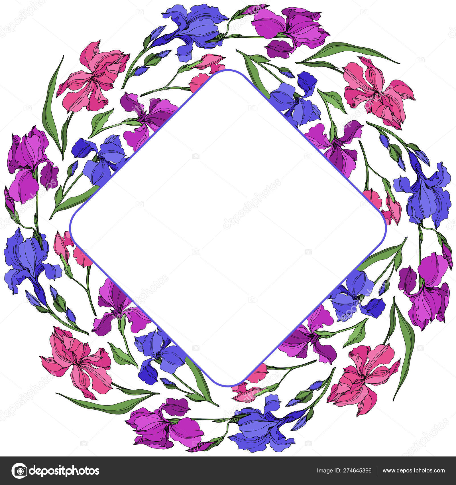 Vector Irises flores botánicas florales. Tinta grabada en blanco y negro.  Marco borde ornamento cuadrado . Vector de stock #274645396 de ©AndreYanush, image size:1600x1700