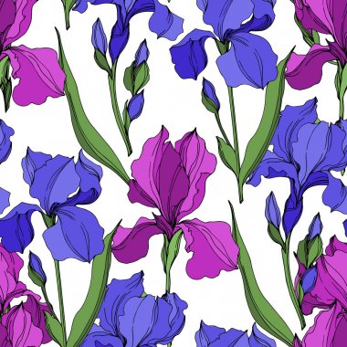 Vektör Irises çiçek botanik çiçekler. Siyah ve beyaz oyulmuş mürekkep sanatı. Kesintisiz arka plan deseni.