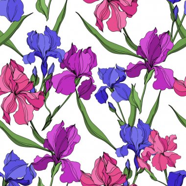 Vektör Irises çiçek botanik çiçekler. Siyah ve beyaz oyulmuş mürekkep sanatı. Kesintisiz arka plan deseni.