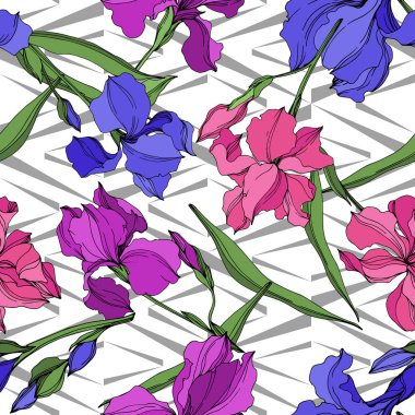 Vektör Irises çiçek botanik çiçekler. Siyah ve beyaz oyulmuş mürekkep sanatı. Kesintisiz arka plan deseni.