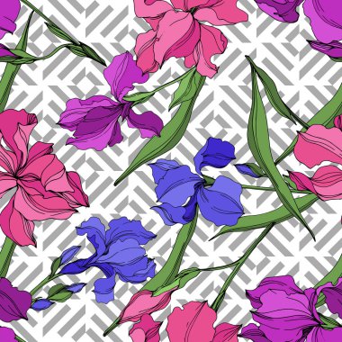 Vektör Irises çiçek botanik çiçekler. Siyah ve beyaz oyulmuş mürekkep sanatı. Kesintisiz arka plan deseni.