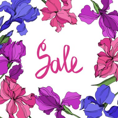 Vektör Irises çiçek botanik çiçekler. Siyah ve beyaz oyulmuş mürekkep sanatı. Çerçeve kenarlık süs karesi.