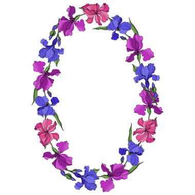 Vektör Irises çiçek botanik çiçekler. Siyah ve beyaz oyulmuş mürekkep sanatı. Çerçeve kenarlık süs karesi.