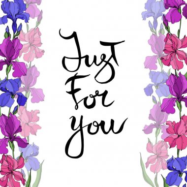 Vektör Irises çiçek botanik çiçekler. Siyah ve beyaz oyulmuş mürekkep sanatı. Çerçeve kenarlık süs karesi.