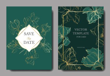 Vektör İrises botanik çiçekler. Siyah ve beyaz oyulmuş mürekkep sanatı. Düğün arka plan kartı çiçek dekoratif sınır.