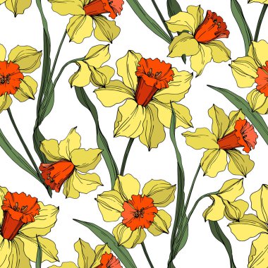 Vektör Narcissus çiçek botanik çiçek. Sarı ve yeşil oyulmuş mürekkep sanatı. Kesintisiz arka plan deseni.
