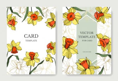 Vektör Narcissus botanik çiçek. Sarı ve yeşil oyulmuş mürekkep sanatı. Düğün arka plan kartı çiçek dekoratif sınır.