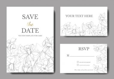 Vektör Narcissus çiçek botanik çiçek. Gri oyulmuş mürekkep sanatı. Düğün arka plan kartı çiçek dekoratif sınır.