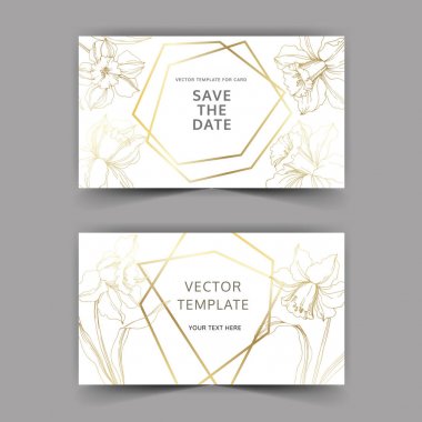 Vector Narcissus floral botanical flower. Golden engraved ink art. Wedding background card floral decorative border. clipart