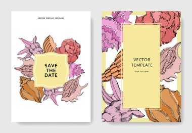 Vektör Yaz plaj deniz kabuğu tropikal unsurlar. Şablon kartları.