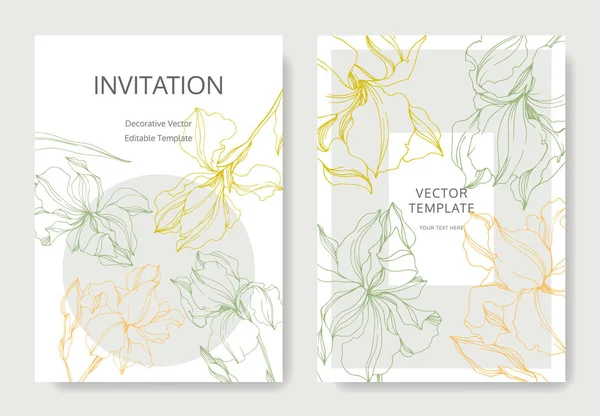Vector Irises flores botânicas. Tinta gravada a preto e branco. Casamento cartão de fundo floral borda decorativa . —  Vetores de Stock