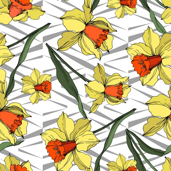 Vector Narcissus floral botanical flower. Yellow and green engraved ink art. Seamless background pattern. — Stock Vector