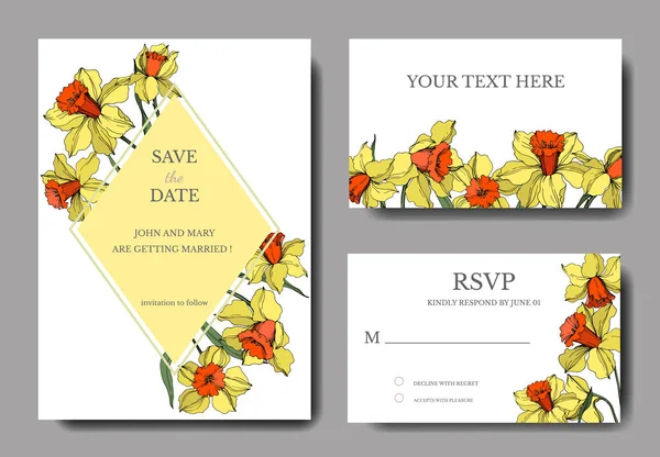 Vector Narcissus botanical flower. Yellow and green engraved ink art. Wedding background card floral decorative border.