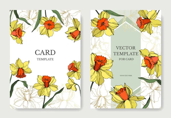 Vector Narcissus floare botanică. Arta de cerneală gravată galben și verde. Nunta carte de fundal floral decorativ frontieră . — Vector de stoc