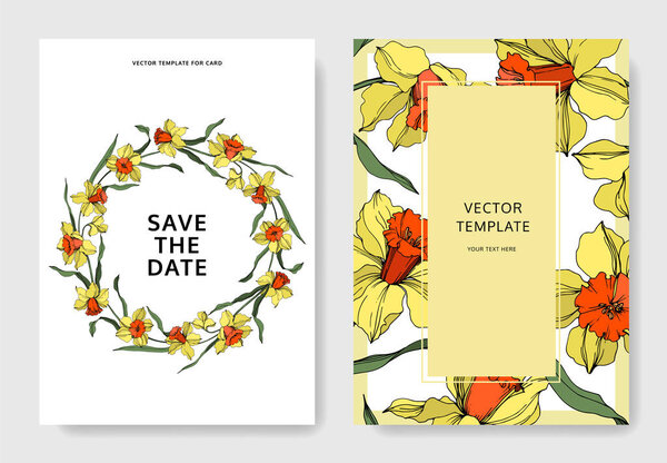 Vector Narcissus botanical flower. Yellow and green engraved ink art. Wedding background card floral decorative border.
