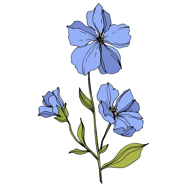 Vector vlas bloemen botanische bloemen. Blauwe en groene gegraveerde inkt kunst. Geïsoleerde vlas illustratie element. — Stockvector