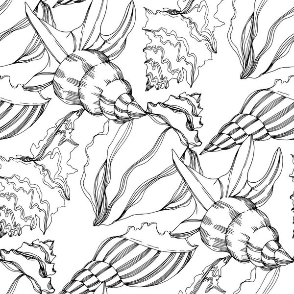 Vector Summer beach seashell tropical elements. Black and white engraved ink art.