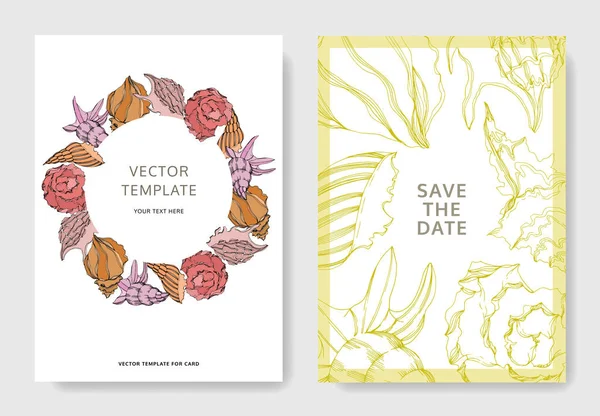 Vector Summer Beach Seashell Tropical Elements Template Cards — Stock Vector