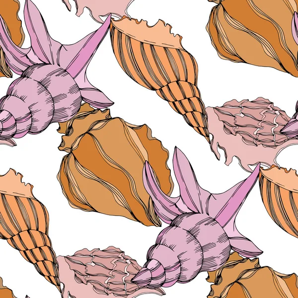 軟体動物ストックベクター ロイヤリティフリー軟体動物イラスト Depositphotos