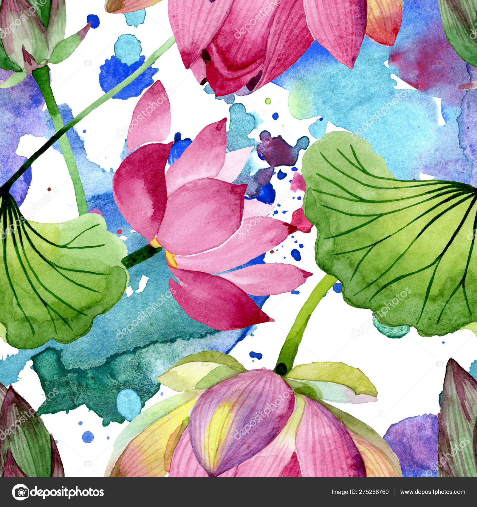 粉红莲花植物花 水彩背景插图集 无缝背景模式 图库照片 C Andreyanush