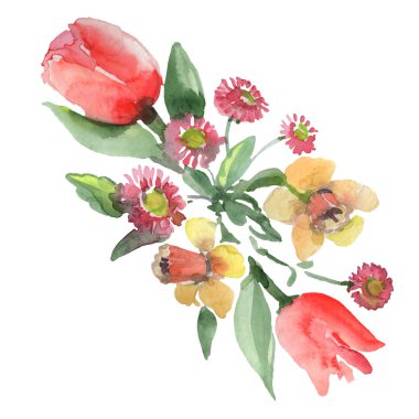 Buket çiçek botanik çiçekler. Suluboya arka plan illüstrasyon seti. İzole buketleri illüstrasyon elemanı.