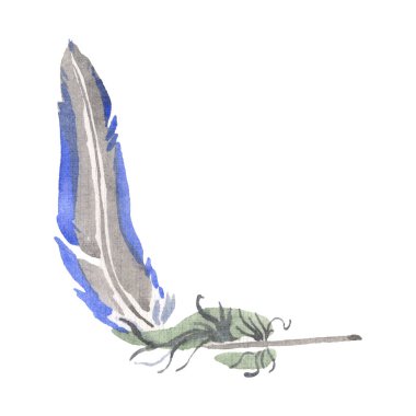 Kanat izole suluboya kuş tüyü. Arka plan için Kova tüyü. Yalıtılmış tüy çizim elemanı.