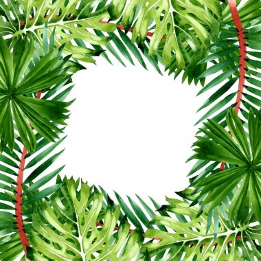 Palm beach tree leaves jungle botanical. Watercolor background illustration set. Frame border ornament square. clipart
