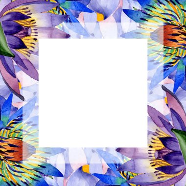 Mavi lotus çiçek botanik çiçekler. Suluboya arka plan illüstrasyon seti. Çerçeve kenarlık süs karesi.