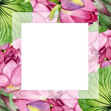 Pembe lotus çiçek botanik çiçekler. Suluboya arka plan illüstrasyon seti. Çerçeve kenarlık süs karesi.
