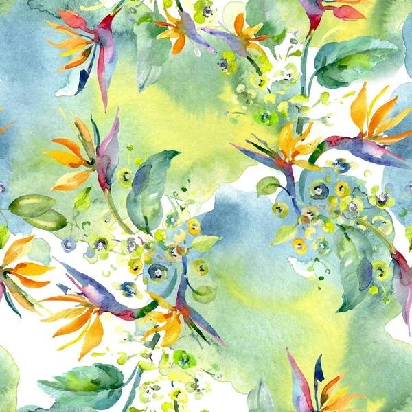 Buchet flori florale botanice. Set de ilustrații de fundal acuarelă. Model de fundal fără sudură . — Fotografie, imagine de stoc
