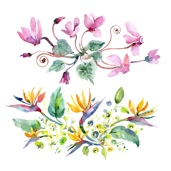 Boeket bloemen botanische bloemen. Aquarel achtergrond illustratie instellen. Geïsoleerde boeketten illustratie element. — Stockfoto