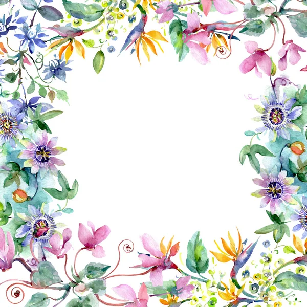 Csokor virág botanikai virágok. Akvarell háttér illusztráció készlet. Test határ Dísz tér. — Stock Fotó